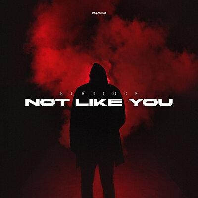 Not Like You - ECHOLOCK