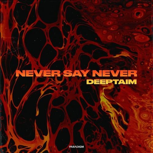 Never Say Never - Deeptaim