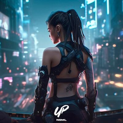 Up - NSML
