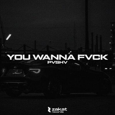 YOU WANNA FVCK - PVSHV