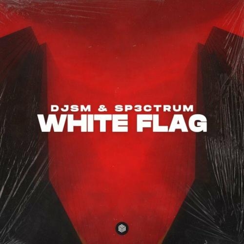 White Flag - DJSM & Sp3ctrum