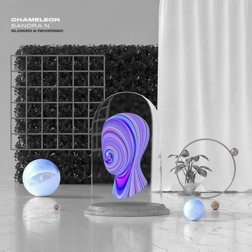 Chameleon (Slowed & Reverbed) - Sandra N