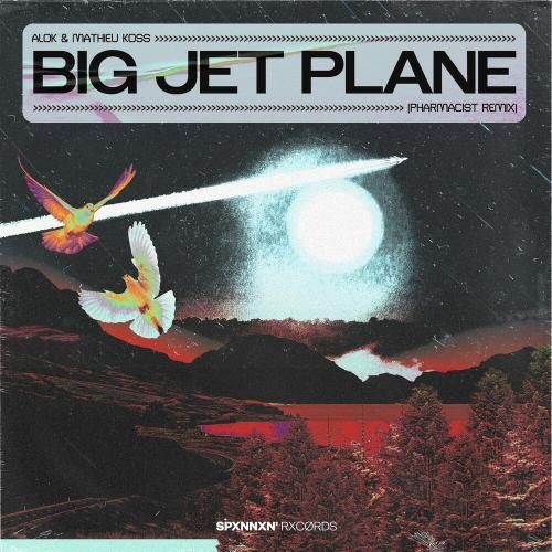 Big Jet Plane (Pharmacist Remix) - Alok feat. Mathieu Koss