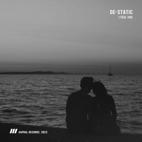 I Feel You - DE-STATIC