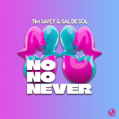 No No Never - Tim Savey feat. Sal De Sol
