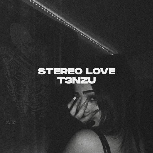Stereo Love - T3NZU