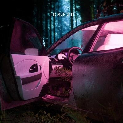 Tonight - Punkshow