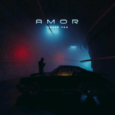 Chose You (Radio Edit) - Amor