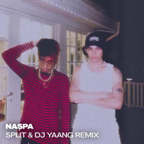 Nașpa - Banger Tunes