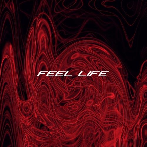 Feel Life - STRACURE