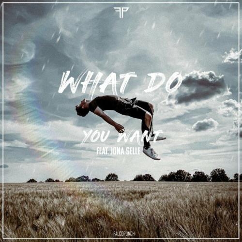 What Do You Want - Falco Punch feat. Jona Selle