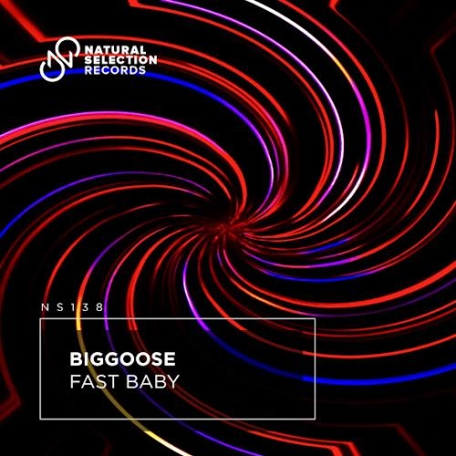 Fast Baby - Biggoose