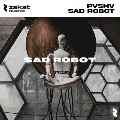 Sad Robot - PVSHV