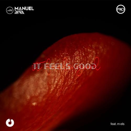 It Feels Good - Manuel Riva feat. M Els