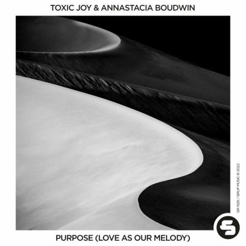 Purpose (Love As Our Melody) - Toxic Joy feat. Annastacia Boudwin