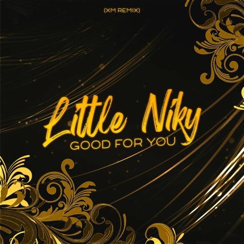 Good For You (XM Remix) - Little Niky