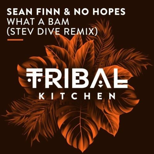 What A Bam (Stev Dive Radio Edit) - Sean Finn feat. No Hopes