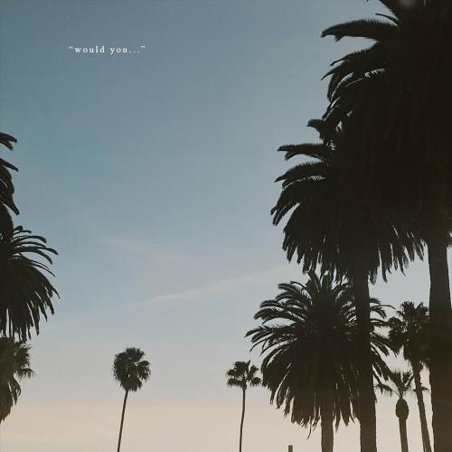 Would You - Y.V.E. 48