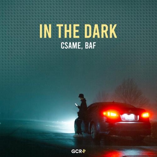 In the Dark - Csame & BAF
