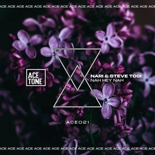 Nah Hey Nah (Original Mix) - nari & Steve Tosi