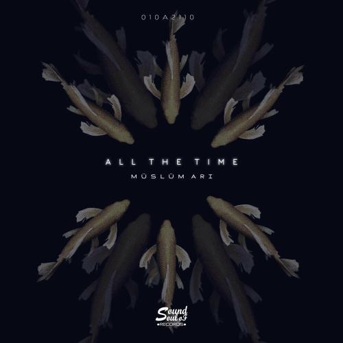 All the Time - Müslüm Arı
