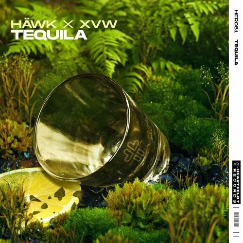 Tequila - Hawk & XVW