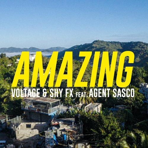 Amazing - Voltage & Shy FX feat. Agent Sasco