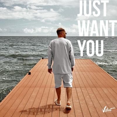 Just Want You - M.Hustler feat. Delphia