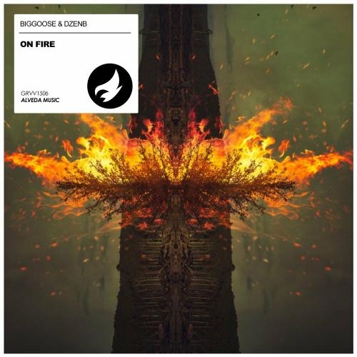 On Fire - Biggoose & DzenB