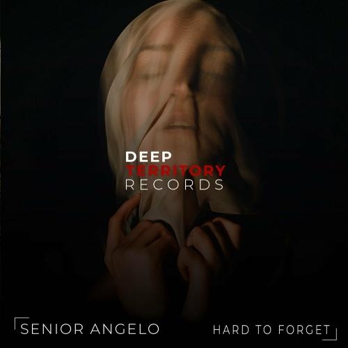 Hard To Forget - Senior Angelo