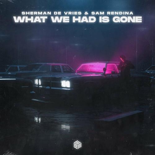 What We Had Is Gone - Sherman de Vries & Sam Rendina
