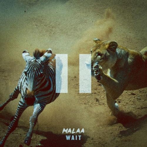 Wait - Malaa