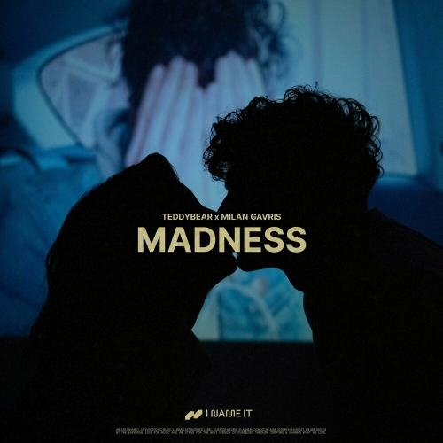Madness - Teddybear & Milan Gavris