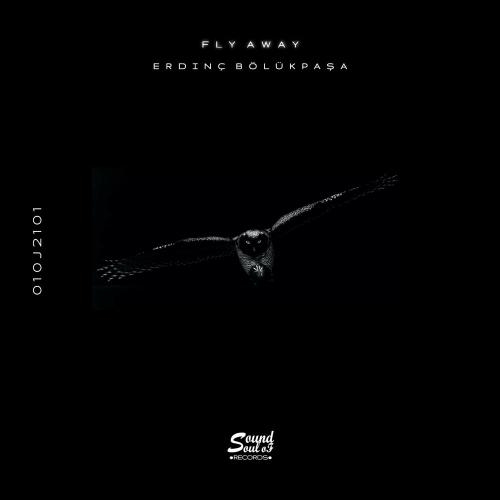 Fly Away - Erdinç Bölükpaşa