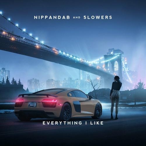 Everything I Like - Nippandab & 5lowers
