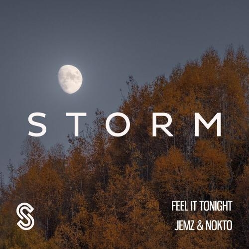 Feel It Tonight - Jemz & Nokto