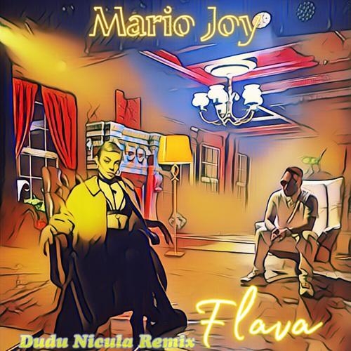Flava (Dudu Nicula Remix) - Mario Joy