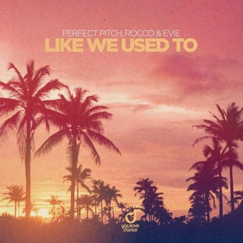 Like We Used To - Rocco x Perfect Pitch feat. Evie