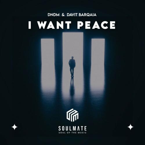 I Want Peace - Davit Barqaia & DNDM