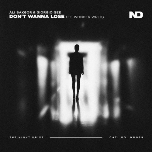 Do Not Wanna Lose - Ali Bakgor x Giorgio Gee feat. Wonder Wrld