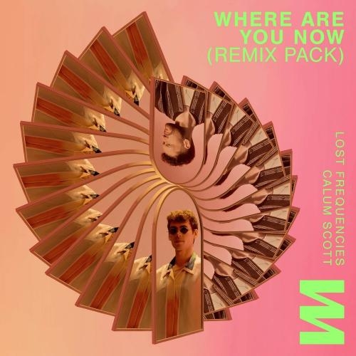 Where Are You Now (Kungs Remix) - Lost Frequencies feat. Calum Scott