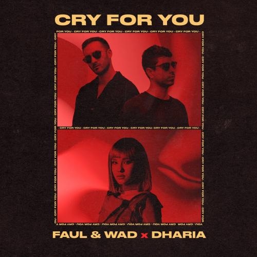 Cry For You - Faul x Wad feat. DHARIA