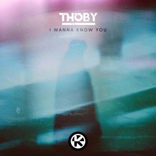 I Wanna Know You - Thoby