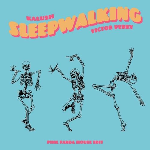 Sleepwalking (Pink Panda House Edit) - KALUSH feat. Victor Perry