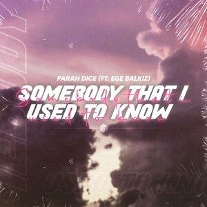 Somebody That I Used To Know - Parah Dice, Ege Balkız