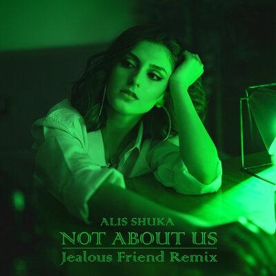 Not About Us (Jealous Friend Remix) - Alis Shuka