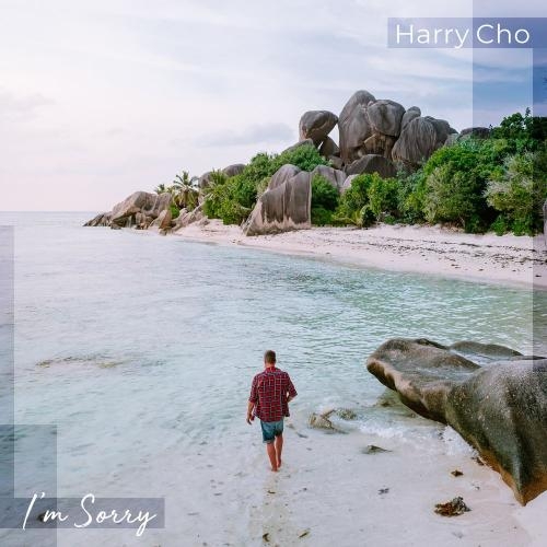 I'm Sorry - Harry Cho