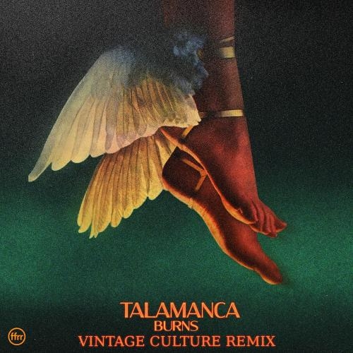 Talamanca - Burns