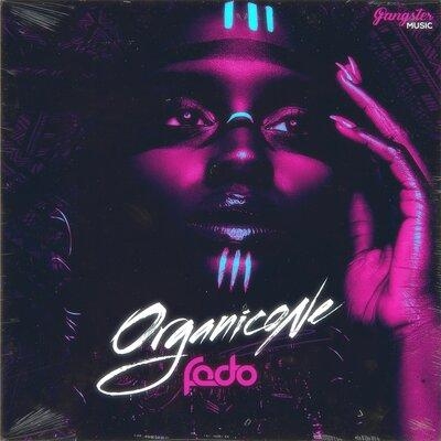 Organicone - Fedo