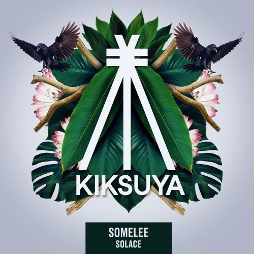 Solace - Somelee